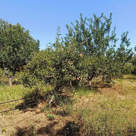 Casa Do Trola - Ferreira Do Zezere *