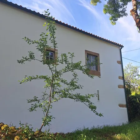 Casa Do Trola - Ferreira Do Zezere カントリーハウス *